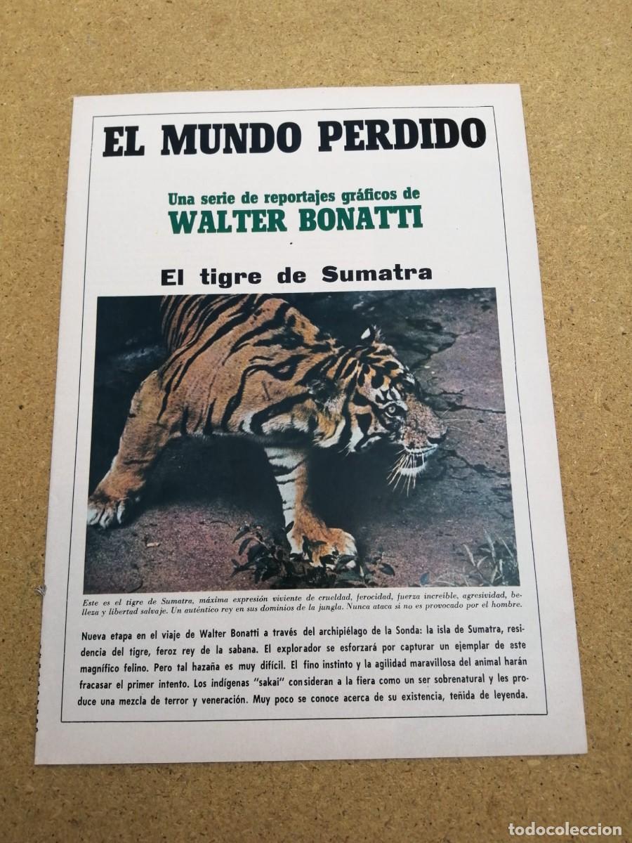 Coleccionismo de revista Blanco y Negro: REVISTILLA BLANCO Y NEGRO. EL MUNDO PERDIDO, POR WALTER BONATTI. EL TIGRE DE SUMATRA