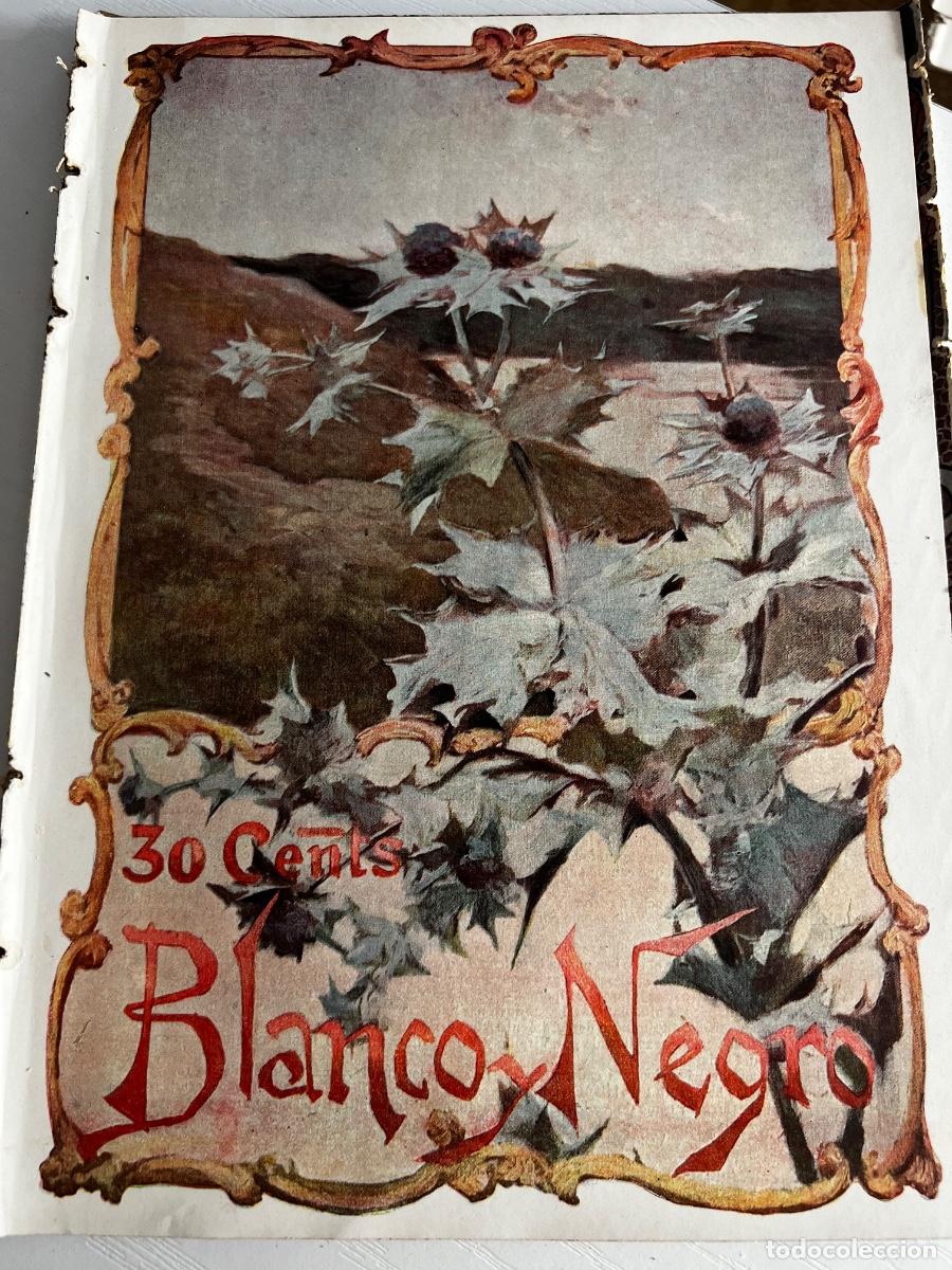 Coleccionismo de revista Blanco y Negro: BLANCO Y NEGRO. N&ordm; 565. A&Ntilde;O 1902. EL CONGRESO DE LAS AVES. ARMANDO PALACIO VALD&Eacute;S. EL CENTENA.. LEER