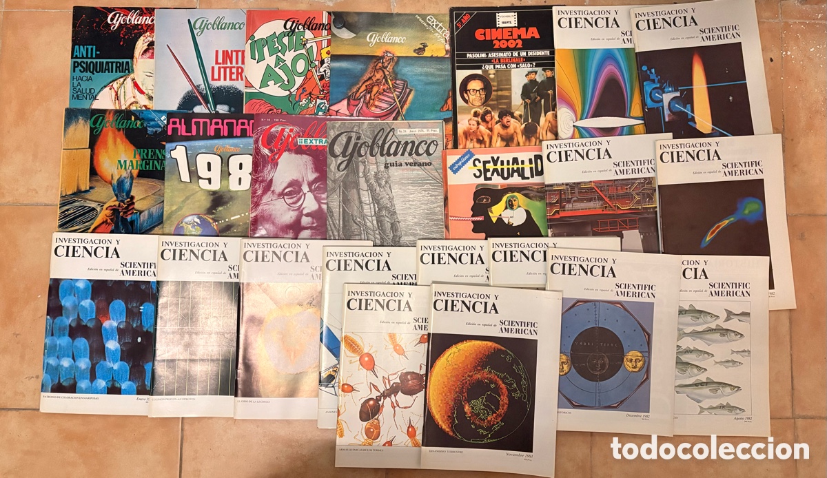 Coleccionismo de revista Cambio 16: Lote revistas Triunfo &middot; Bicicleta &middot; Ajoblanco &middot; El Viejo Topo