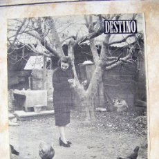 Coleccionismo de Revista Destino: REVISTA DESTINO - Nº 8.57 ENERO DE 1954