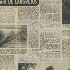 Coleccionismo de Revista Destino: REVISTA 1950 CANGREJOS EN CATALUÑA MOYA MOIA TOSCA FEDERICO GARCIA LORCA GIGANTE DEL PAIS DE GALES.. Lote 17986758