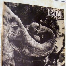Coleccionismo de Revista Destino: REVISTA DESTINO, 28 DE SETIEMBRE DE 1057 Nº 1051