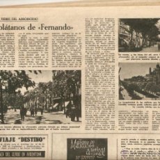 Coleccionismo de Revista Destino: AÑO 1958 LLEIDA PLATANERS PLATANOS FERNANDO ANTONIO CUMELLA CERAMISTA WISKY MAG VILANOVA CALISAY. Lote 44779479