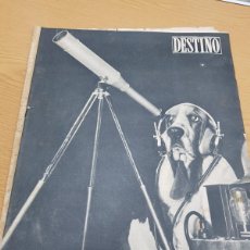 Coleccionismo de Revista Destino: REVISTA DESTINO AÑO 1957 NUMERO 1058 LOS PERROS NO SOLO LADRAN A LA LUNA
