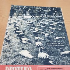 Coleccionismo de Revista Destino: REVISTA DESTINO AÑO 1950 DESCANSO EN LA PLAZA DE CATALUÑA