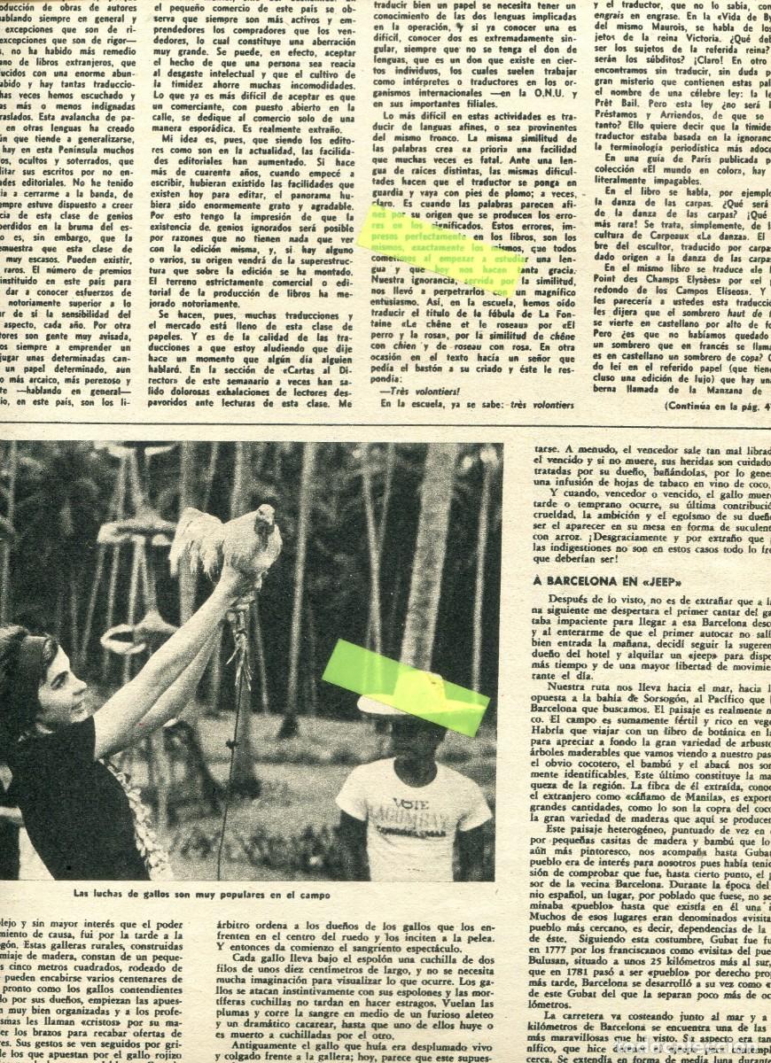 Coleccionismo de Revista Destino: REVISTA A&Ntilde;O 1962 PELEA DE GALLOS FOTOGRAFO ANGEL MU&Ntilde;OZ DE PABLO JUAN ANTONIO PAYNO