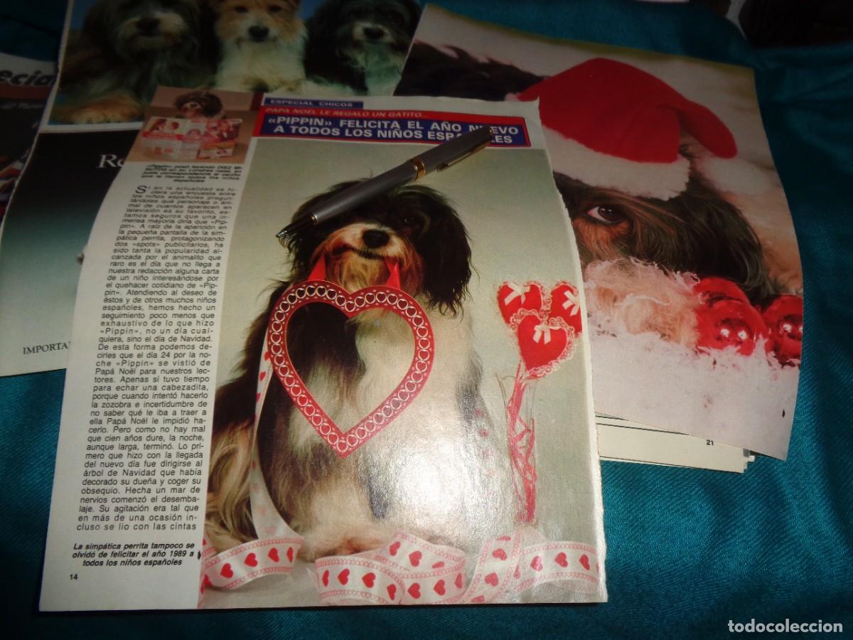 Coleccionismo de revista Diez Minutos: RECORTE : LA PERRITA PIPPIN, FELICITA EL A&Ntilde;O NUEVO. DIEZ MINUTOS, ENERO 1989