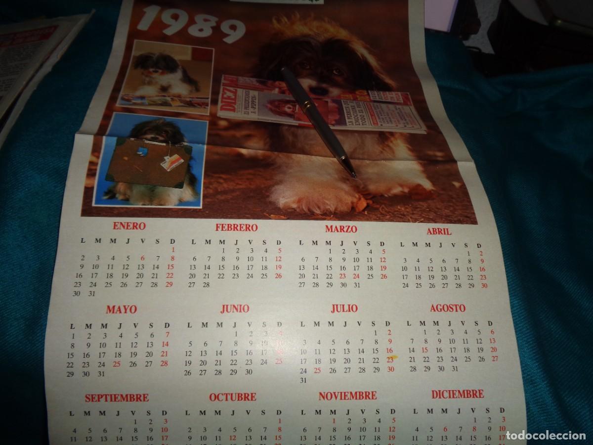 Coleccionismo de revista Diez Minutos: RECORTE : POSTER CALENDARIO CON LA PERRITA PIPPIN. DIEZ MINUTOS, ENERO 1989