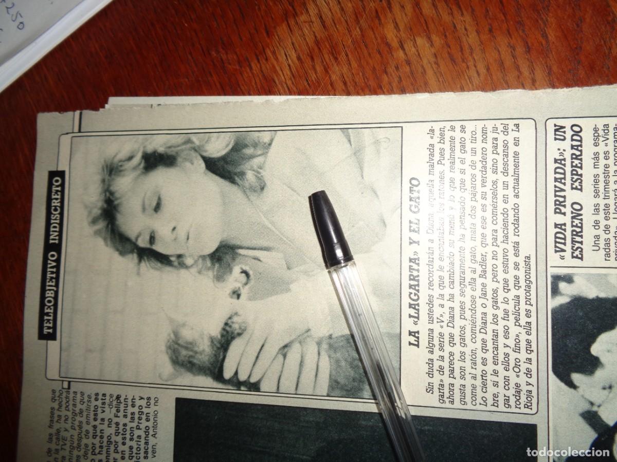 Coleccionismo de revista Diez Minutos: RECORTE : DIANA, LA MALVADA LAGARTA DEL LA SERIE &rdquo; V &rdquo;. DIEZ MINUTOS, OCTBRE 1987