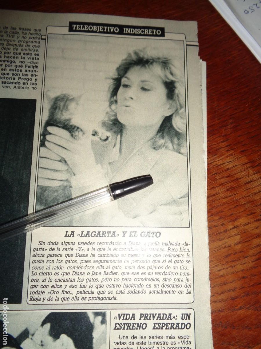 Coleccionismo de revista Diez Minutos: RECORTE : DIANA, LA MALVADA LAGARTA DEL LA SERIE &rdquo; V &rdquo;. DIEZ MINUTOS, OCTBRE 1987