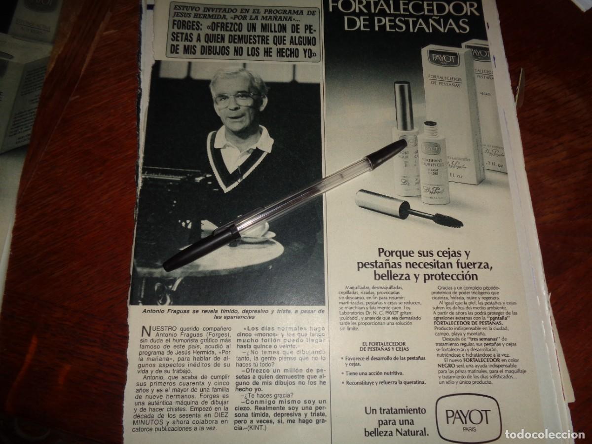 Coleccionismo de revista Diez Minutos: RECORTE : FORGES, DIEZ MINUTOS, OCTBRE 1987