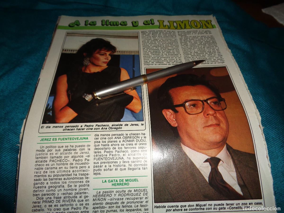 Coleccionismo de revista Diez Minutos: RECORTE : ANA OBREGON.. DIEZ MINUTOS, ENERO 1987