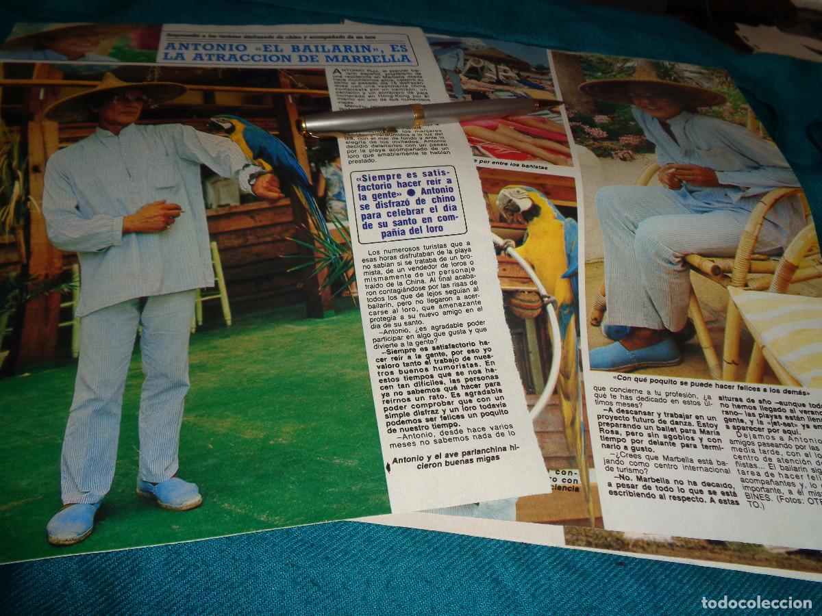 Collection Magazine Diez Minutos: RECORTE : ANTONIO &rdquo;EL BAILARIN&rdquo;, EN MARBELLA. DIEZ MINUTOS, JULIO 1986