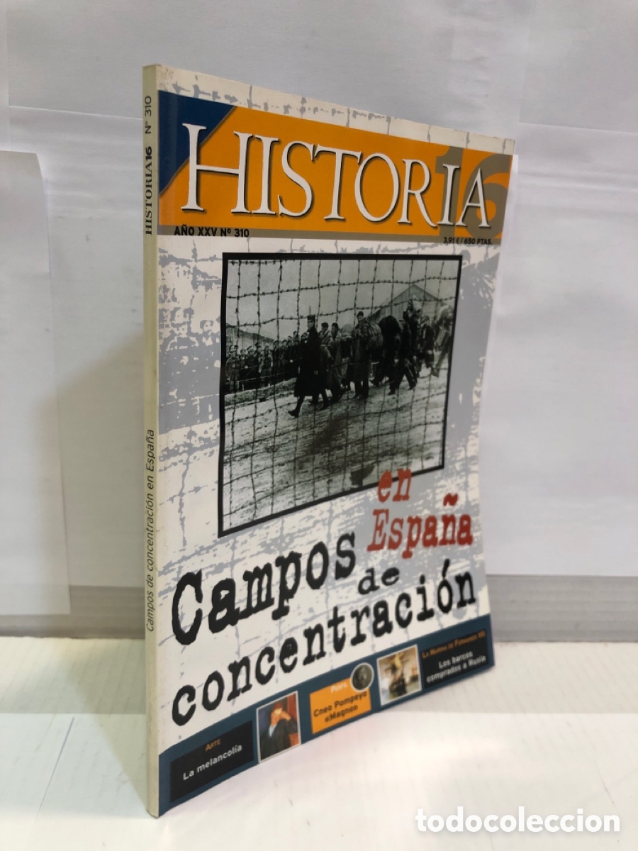 Collection Magazine Historia 16: Historia 16. A&ntilde;o XXV N&ordm;310. Campos en Espa&ntilde;a de concentracion