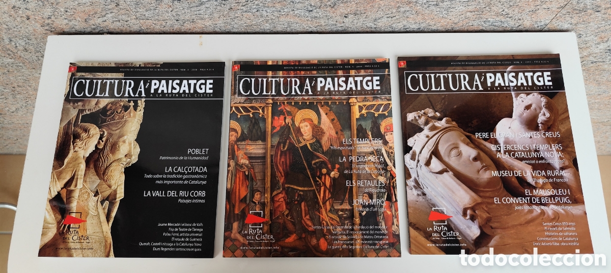 Coleccionismo de revista Historia y Vida: Cultura i Paisatge - lote con 12 revistas