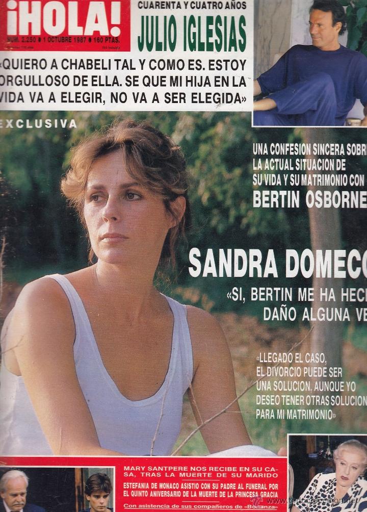Collezionismo di Rivista &iexcl;Hola!: REVISTA HOLA N&ordm; 2250 A&Ntilde;O 1987. JULIO IGLESIAS. SANDRA DOMECQ. ADELA LA ESPOSA DE FRANCISCO.
