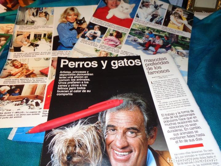 Coleccionismo de Revista Hola: RECORTE : LAS MASCOTAS DE LOS FAMOSOS : JULIO IGLESIAS, CONCHITA VELASCO..... LECTURAS,ABRIL 1993(#)