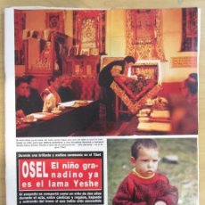Coleccionismo de Revista Hola: RECORTE REVISTA HOLA N.º 2224 1987 OSEL IZA TORRES 4 PÁGS. Lote 401132114
