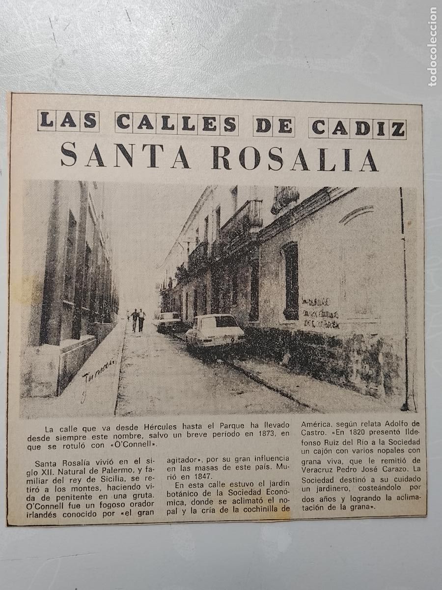Colecionismo da Revista &iexcl;Hola!: DIARIO 1979 80 RECORTE COLECCION CALLES DE CADIZ CAPITAL - CALLE SANTA ROSALIA