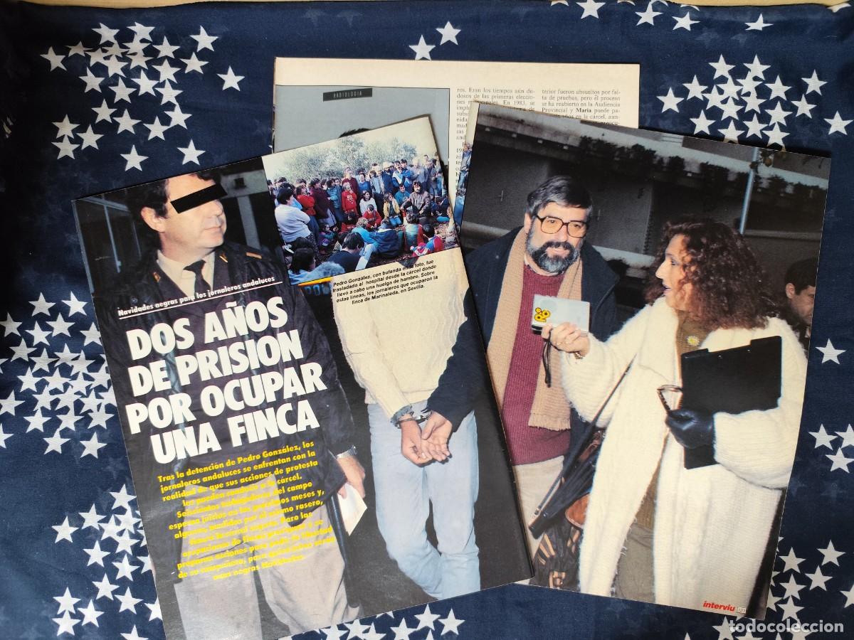 Coleccionismo de Revista Intervi&uacute;: Dos a&ntilde;os de prisi&oacute;n por ocupar una finca Recorte/Clipping Intervi&uacute; 606-1987