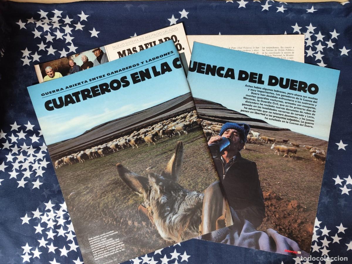 Coleccionismo de Revista Intervi&uacute;: Cuatreros en la cuenca del Duero Recorte/Clipping Intervi&uacute; 605-1987