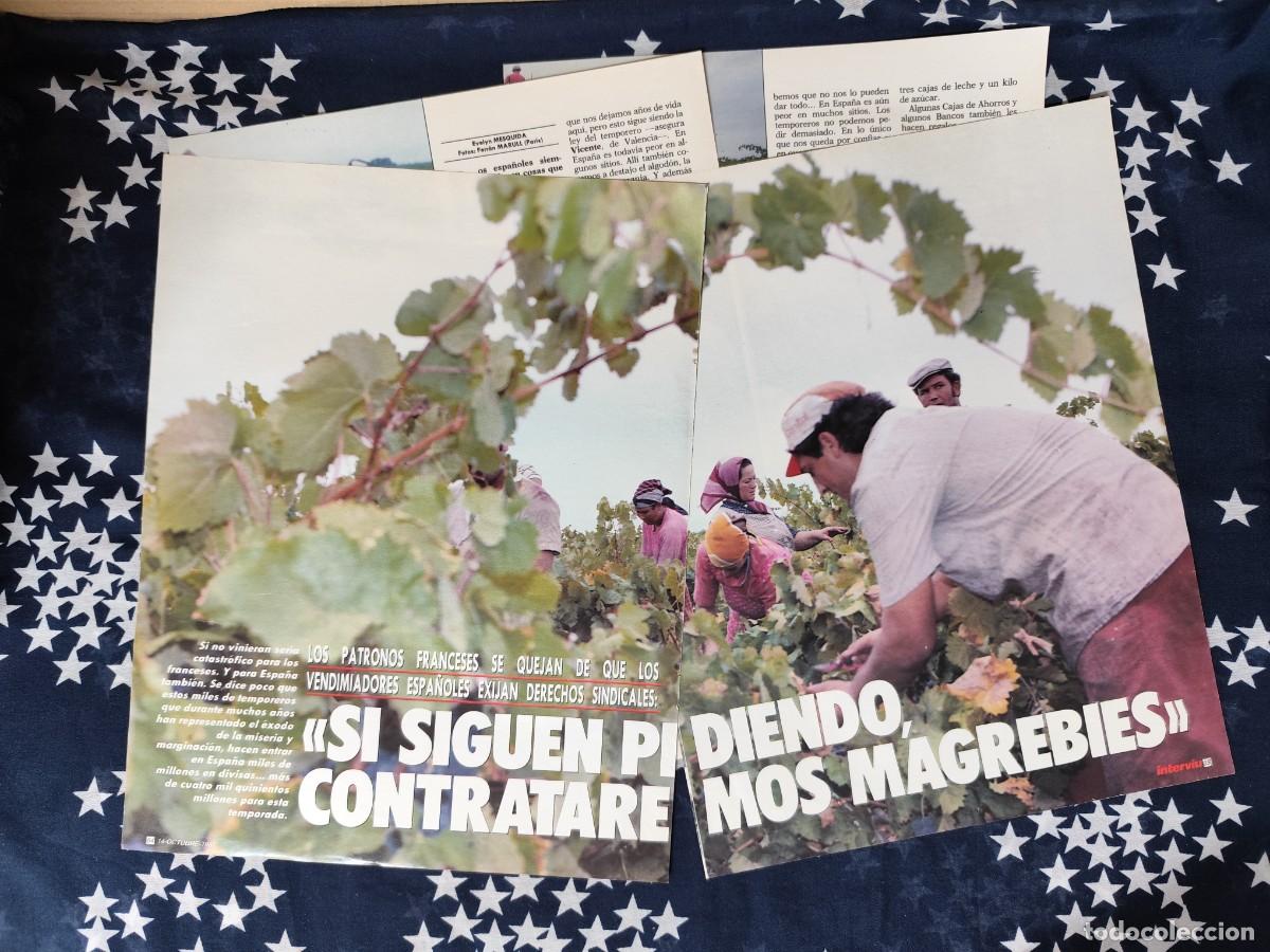 Coleccionismo de Revista Intervi&uacute;: Si siguen pidiendo, contrataremos magreb&iacute;es Recorte/Clipping Intervi&uacute; 596-1987