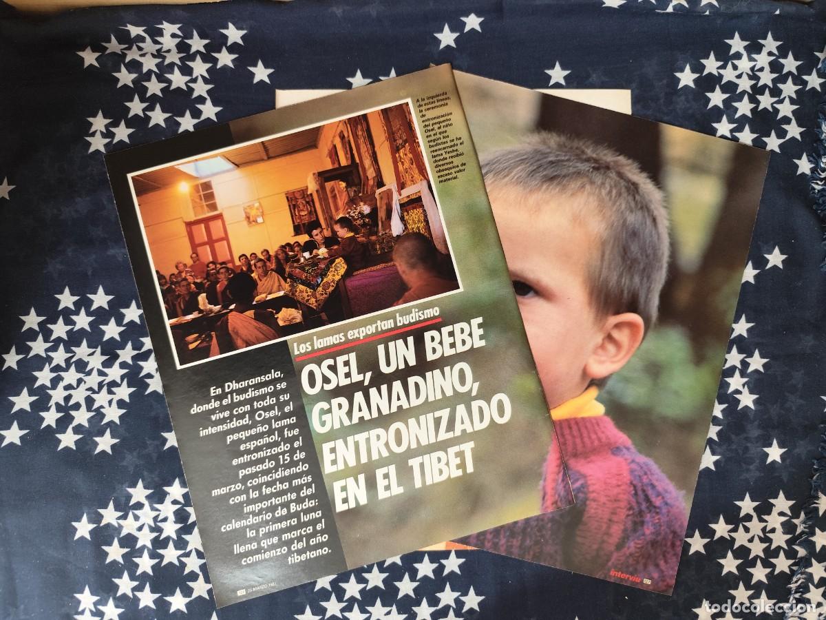Coleccionismo de revista Intervi&uacute;: Osel un bebe granadino entronizado en el TibetRecorte/Cliping Revista Interviu 567 - 1987