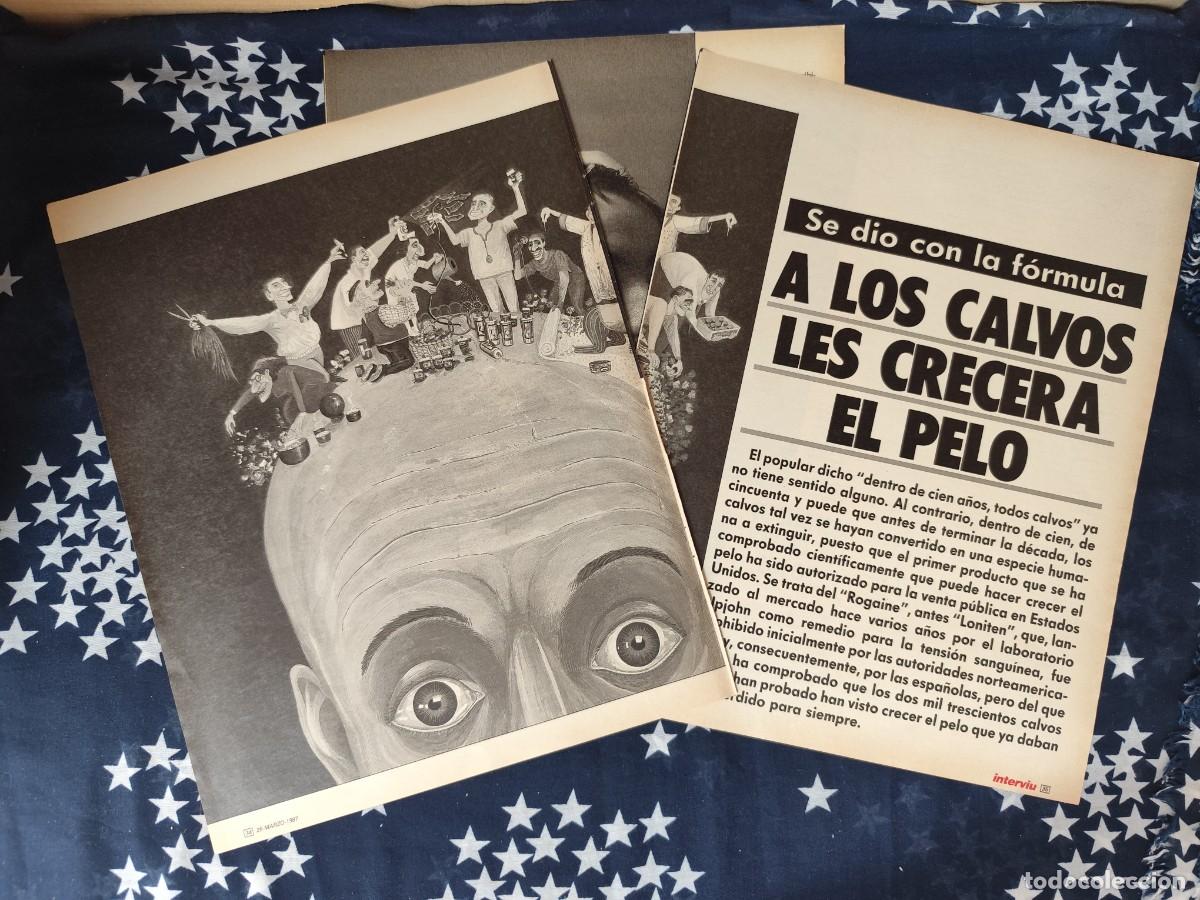 Coleccionismo de revista Intervi&uacute;: A los calvos les crecer&aacute; el pelo Recorte/Cliping Revista Interviu 567 - 1987