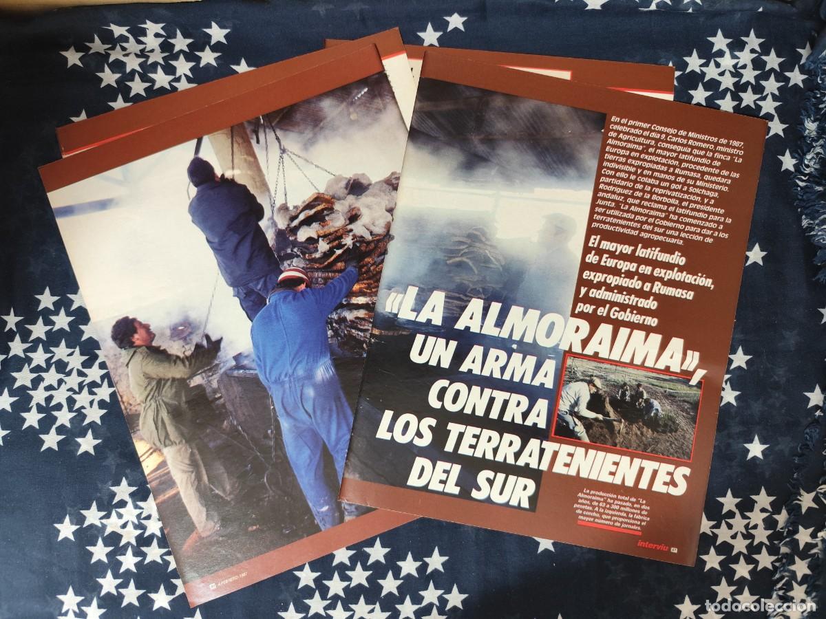 Coleccionismo de revista Intervi&uacute;: La Almoraima el mayor latifundio expropiado a RumasaRecorte/Cliping Revista Interviu 560 - 1987