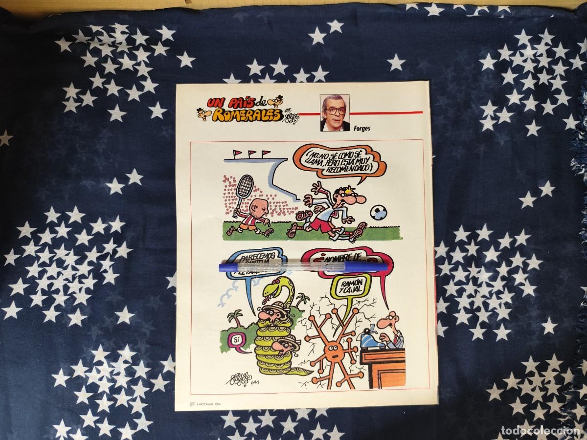 Coleccionismo de revista Intervi&uacute;: Un pa&iacute;s de Romerales Forges Recorte/Cliping Revista Interviu 551 - 1986