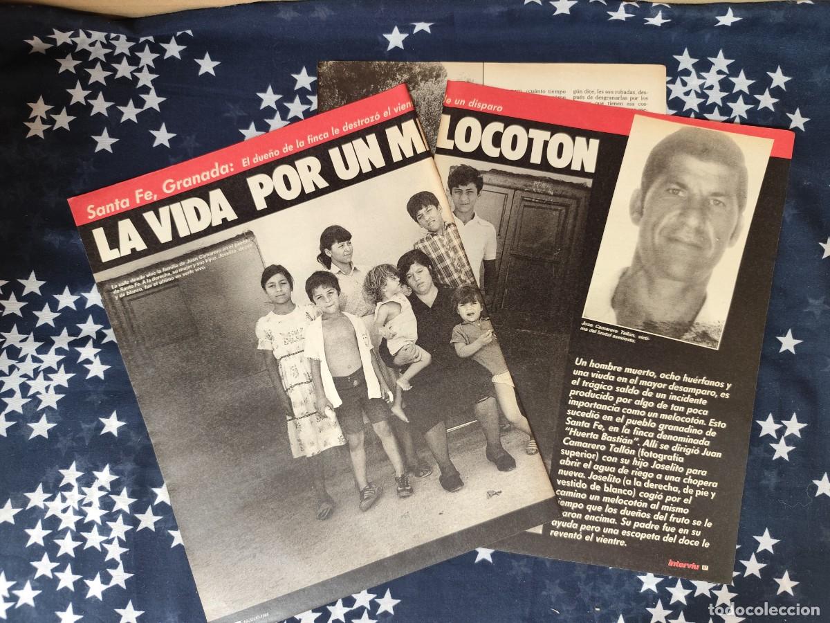 Coleccionismo de revista Intervi&uacute;: Santa Fe la vida por un melocot&oacute;n Recorte/Cliping Revista Interviu 531-1986