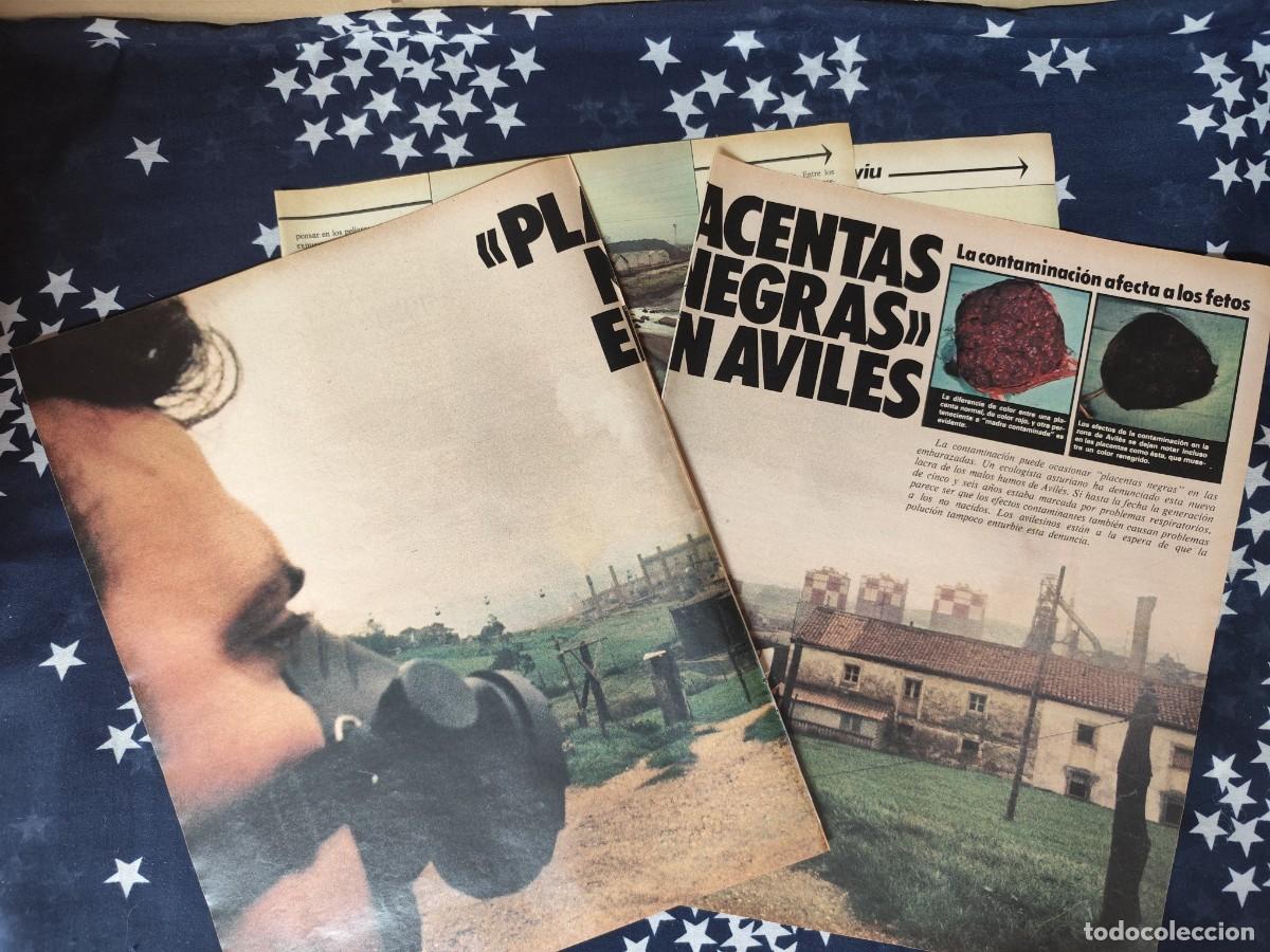Coleccionismo de revista Intervi&uacute;: Placentas negras en Avil&eacute;s Recorte/Cliping Revista Interviu 343-1982