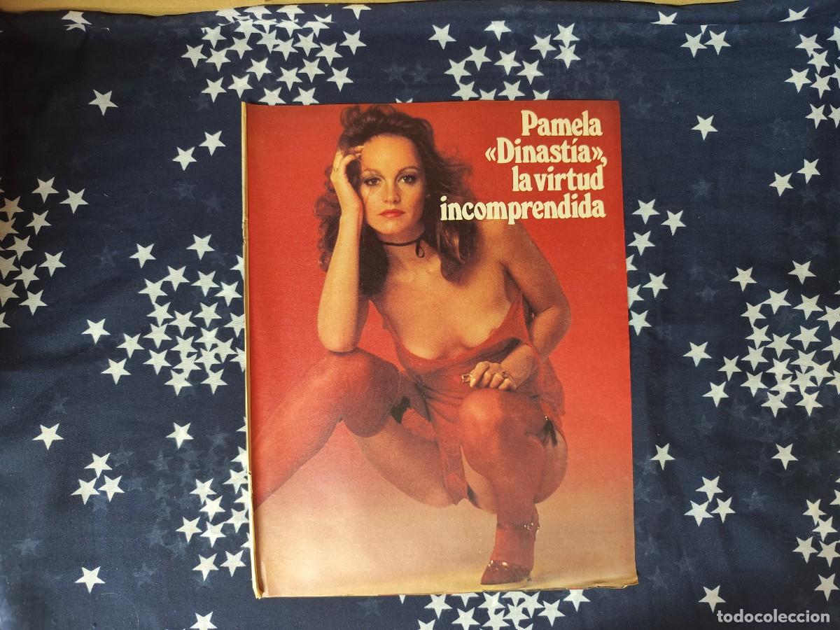 Coleccionismo de revista Intervi&uacute;: Pamela Dinast&iacute;a, la virtud incomprendida Recorte/Cliping Revista Interviu 342-1982