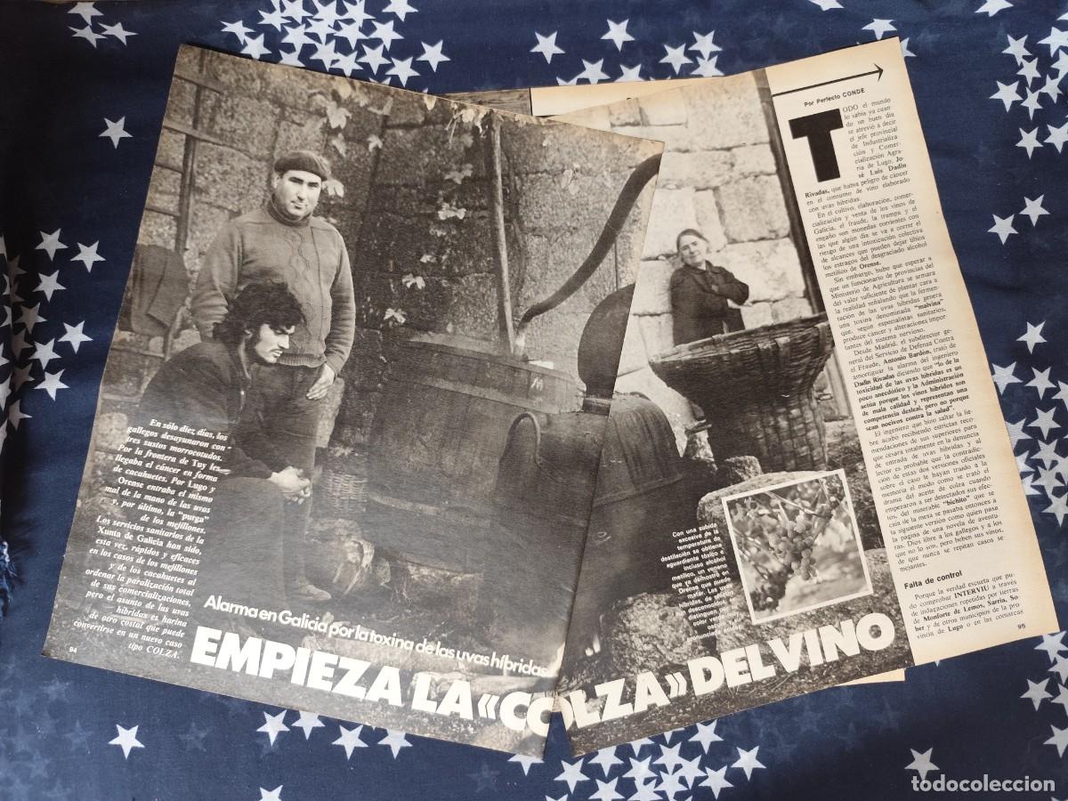 Coleccionismo de revista Intervi&uacute;: Empieza la colza del vino Recorte/Cliping Revista Interviu 335-1982