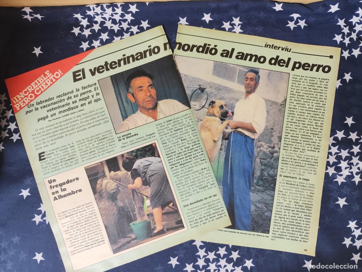 Coleccionismo de revista Intervi&uacute;: El veterinario mordi&oacute; al amo del perro Recorte / Clipping Revista Intervi&uacute; 326 - 1982