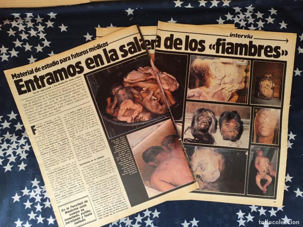 Coleccionismo de revista Intervi&uacute;: Entramos en la sala de los fiambres Recorte/Cliping Revista Interviu 305 - 1982