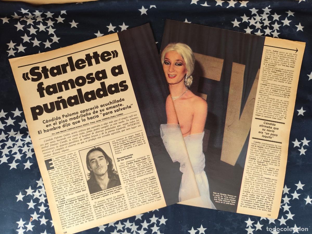 Coleccionismo de revista Intervi&uacute;: Starlette famosa a pu&ntilde;aladas Candida Palomo Recorte/Cliping Revista Interviu 312- 1982