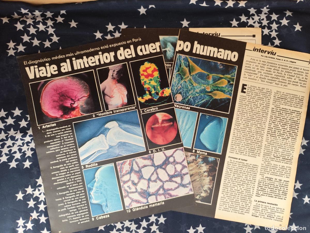 Coleccionismo de revista Intervi&uacute;: Viaje al interior del cuerpo humano Recorte/Cliping Revista Interviu 312- 1982