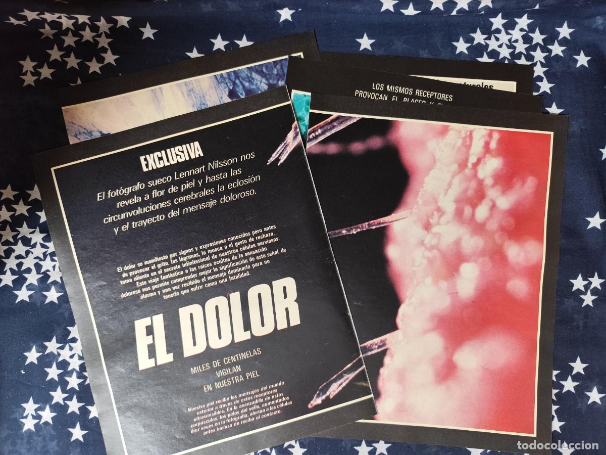 Coleccionismo de revista Intervi&uacute;: El dolor Miles de centinelas vigilan en nuestra piel Recorte/Cliping Revista Interviu 504 1986