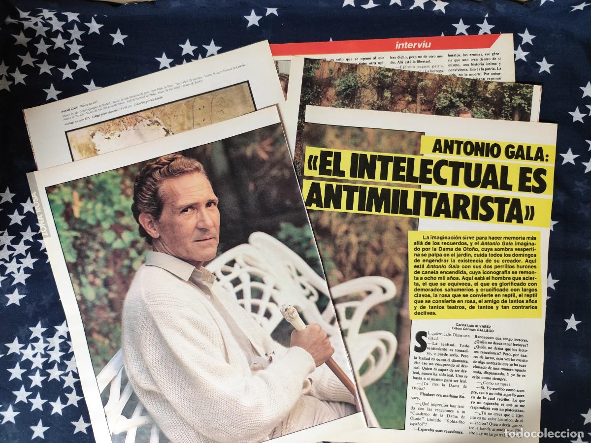Coleccionismo de revista Intervi&uacute;: Antonio Gala El intelectual es antimilitarista Recorte/Cliping Revista Interviu 473 1985