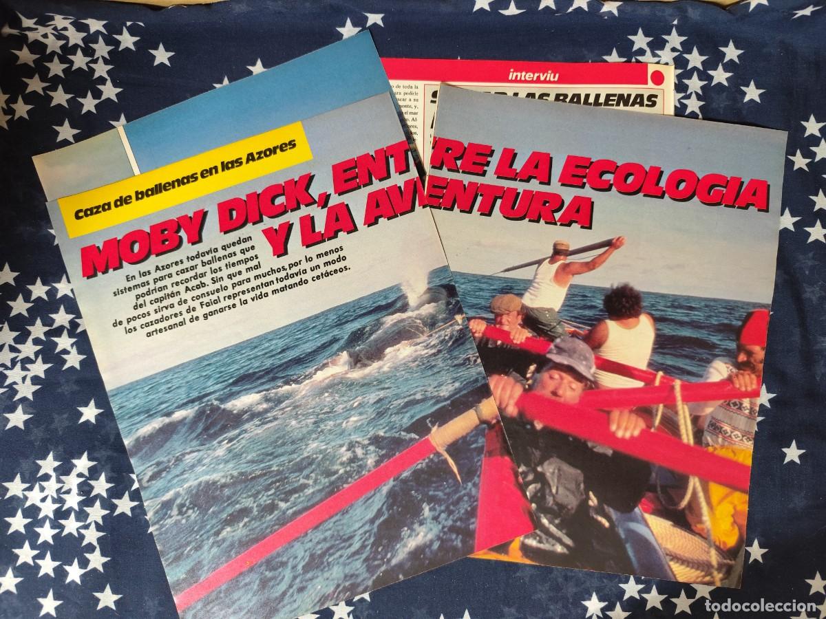 Coleccionismo de revista Intervi&uacute;: Caza de ballenas en las Azores Recorte/Cliping Revista Interviu 468 1985