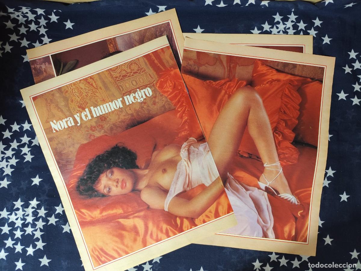 Coleccionismo de revista Intervi&uacute;: Nora y el humor negro Recorte/Cliping Revista Interviu 455 1985