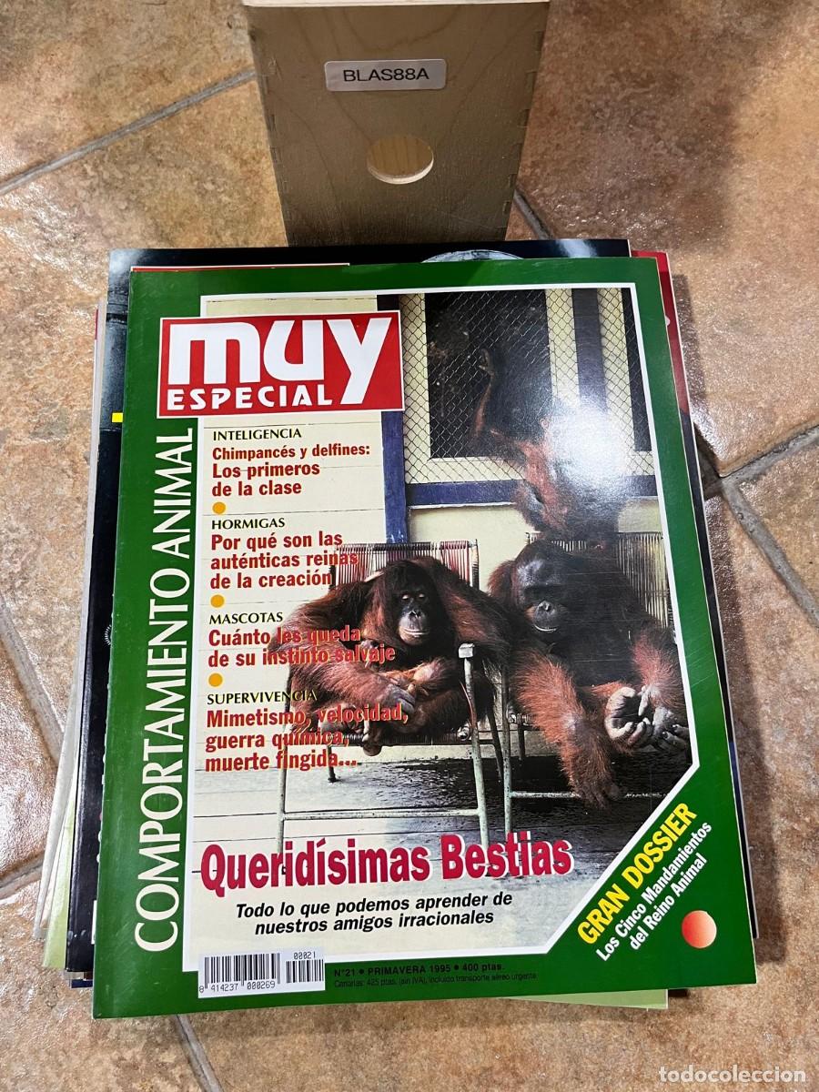 Coleccionismo de Revista Muy Interesante: BLAS88A &ndash; MUY Especial n&ordm; 21 (primavera 1995), Querid&iacute;simas bestias (INTERESANTE)