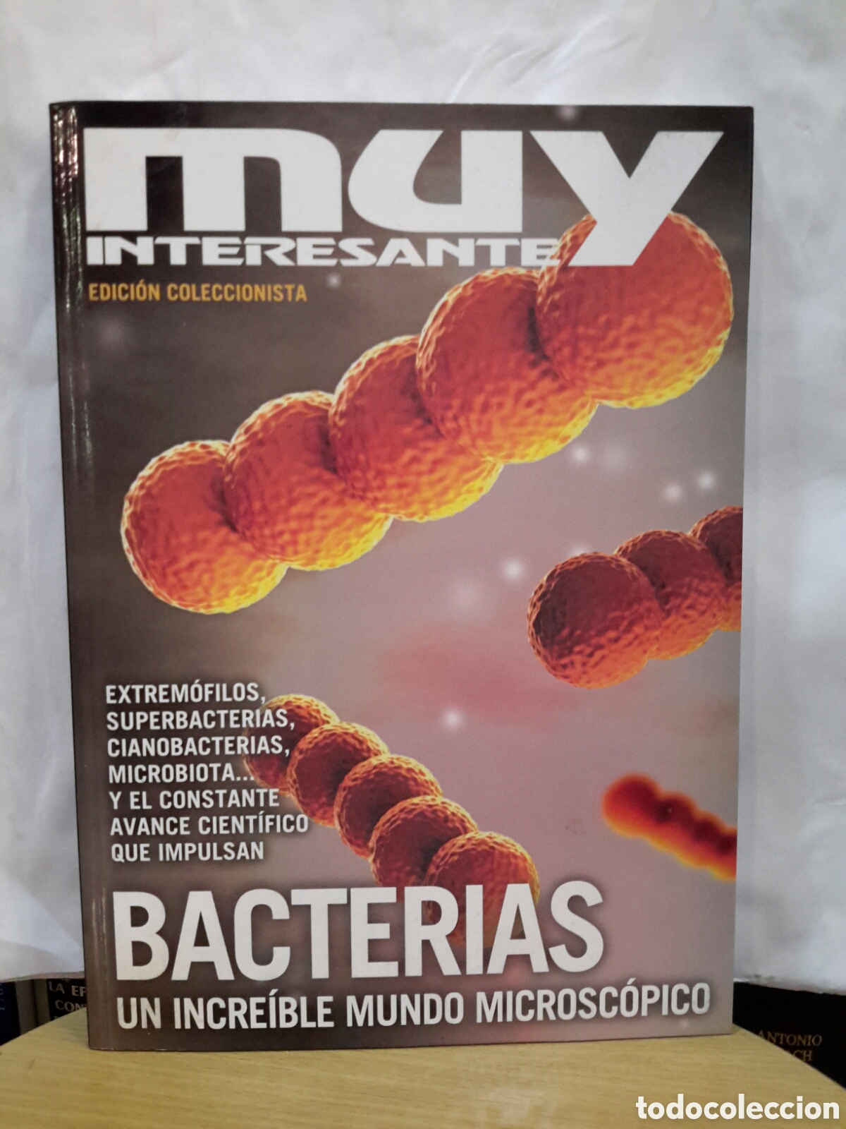 Coleccionismo de revista Muy Interesante: Muy Interesante No. 26 - Bacterias: un incre&iacute;ble mundo microsc&oacute;pico