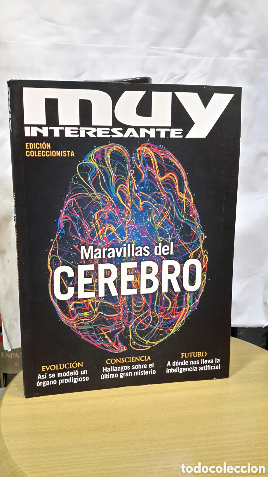 Coleccionismo de revista Muy Interesante: Muy Interesante Ed. Coleccionista No. 4 - Maravillas del cerebro