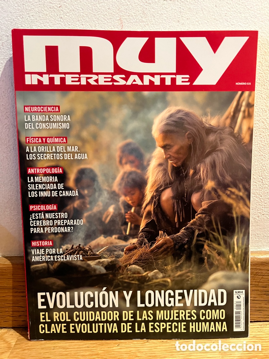 Coleccionismo de revista Muy Interesante: Muy interesante n&uacute;mero 531
