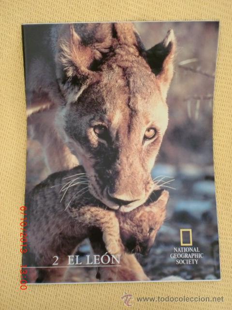 national geographic - el leon - Buy Magazine: National Geographic on  todocoleccion