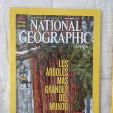 Coleccionismo de National Geographic: REVISTA NATIONAL GEOGRAPHIC ESPAÑA DICIEMBRE 2012 LOS ARBOLES MAS GRANDES DEL MUNDO