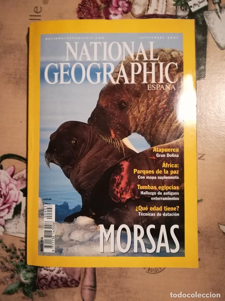 Morsa  National Geographic