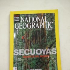 Coleccionismo de National Geographic: SECUOYAS GIGANTES DEL BOSQUE NOVIEMBRE 2009
